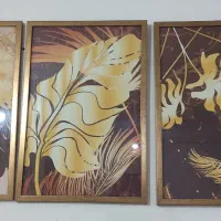 قاب سالم و نو