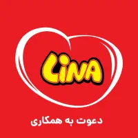 استخدام کارگر ساده انبار آقا گروه لینا