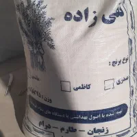 برنج علی کاظمی