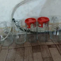 انواع اقسام بلور میوه خوری شیرینی خوری پارچ|ظروف سرو و پذیرایی|یزد, |دیوار