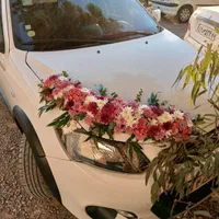 آتلیه تخصصی عروس با 4۰ د ر ص د ت خ ف ی ف|خدمات پذیرایی، مراسم|قم, هفت تیر|دیوار