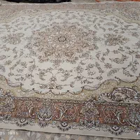 دوتخته فرش دوازده متری 700شانه سالم وشسته شده