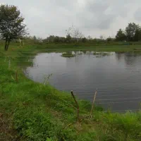 استخر-ماهی-4-هکتاری