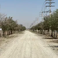 فروش زمین ۶۰۰ متری در سهیلیه ، زعفرانیه ، کامرانیه|فروش زمین و ملک کلنگی|کرج, باغستان|دیوار