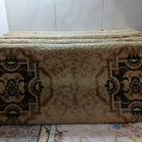 5 عدد پشتی