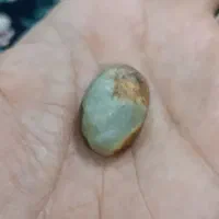 عقیق شجر دریا|کلکسیون اشیاء عتیقه|گلبهار, شهر جدید گلبهار|دیوار