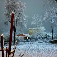 جوشکاری و اسکلت بندی