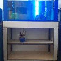 آکواریوم هم فروش هم معاوضه با پرنده