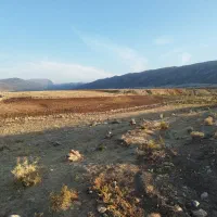 زمین باغ و معاوضه با خودرو