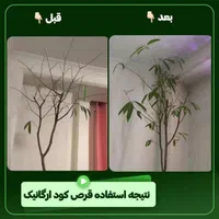 فروش قرص کود  ارگانیک با صرفه وبا نازلترین قیمت|خدمات باغبانی و درختکاری|صفادشت, |دیوار