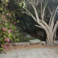 اجاره روزانه|اجارهٔ کوتاهمدت آپارتمان و سوئیت|میناب, |دیوار