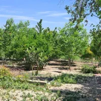 منزل ویلایی|فروش خانه و ویلا|بیضا, |دیوار