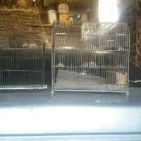 قفس پرنده|لوازم جانبی حیوانات|اصفهان, قهاب جنوبی|دیوار