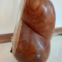 تار|سازهای سنتی|تهران, شهران شمالی|دیوار