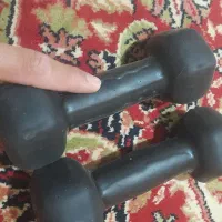 ۲ عدد دنبل ۲ کیلویی|تجهیزات ورزشی|بیلوار, |دیوار