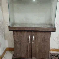 اکواریوم