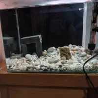 اکواریوم شیشه خم