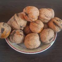 فروش گردو تازه بدون پوست