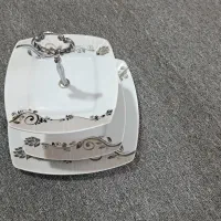 ظروف پذیرایی