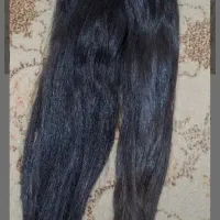 خریدار موهای بلند شما