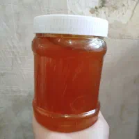 عسل طبیعی کوهستان