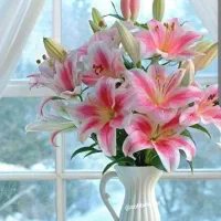 نظافت منزل درپرند ورباط کریم