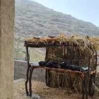 بومگردی الهک