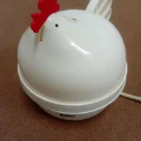 تخم مرغ پز