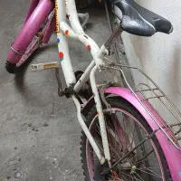 دوچرخه|دوچرخه، اسکیت، اسکوتر|رشت, دیانتی|دیوار