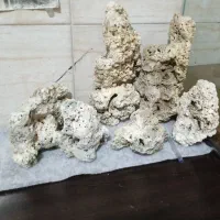 آکواریوم ۵۰۰ هزار تومان
