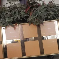 درختچه مصنوعی|گل مصنوعی|تهران, عباس‌آباد|دیوار