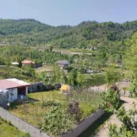 سوییت جنگلی اجاره ای در دل طبیعت|اجارهٔ کوتاهمدت آپارتمان و سوئیت|فومن, |دیوار