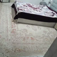 قالی ۱۲ متری