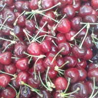 گیلاس