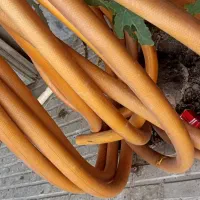 پمپ اب وشیلنگ|ماشینآلات صنعتی|ایلام, |دیوار