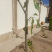 زمین-فروشی-جاده-قمصرخیابان24متری-پدیده-کوچه-شایان