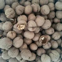 گردو درجه ۱ ساردو