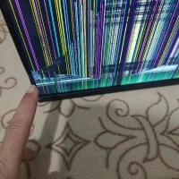 تلویزیون|تلویزیون و پروژکتور|زرندیه, |دیوار