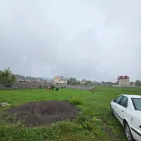 فروش زمین/ ویودار/ ۲۸۰متری/با بهترین شرایط پرداخت|فروش زمین و ملک کلنگی|تالش, هشتپر|دیوار