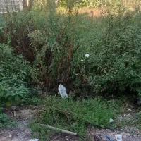 فروش زمین ۵۸ متری در ولکس