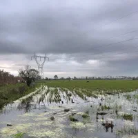 تا دو ماه دیگه مال شما نیست اگر امروز تصمیم نگیرید