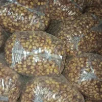 فروش قصب|خوردنی و آشامیدنی|فراشبند, |دیوار