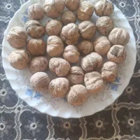 گردو  ومغز بادام