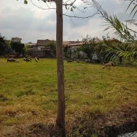 زمین ۲۱۵متری