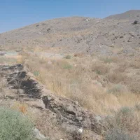 فازگلستان دستجرد