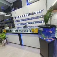 a55|موبایل|نیشابور, امام|دیوار