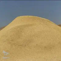 فروش کاه گندم دیم