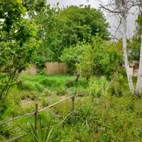 چهار-دیواری-باغی-شهرکی-سلطان-اباد