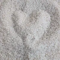 برنج کشت دوم (جگل)فریدونکنار عطری