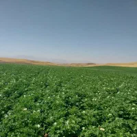 زمین و چاه کشاورزی